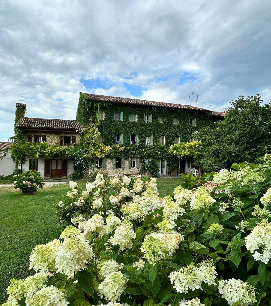 Maso di Villa – das alte Landgut in Conegliano, umrankt von Efeu und umgeben von blühenden Hortensien