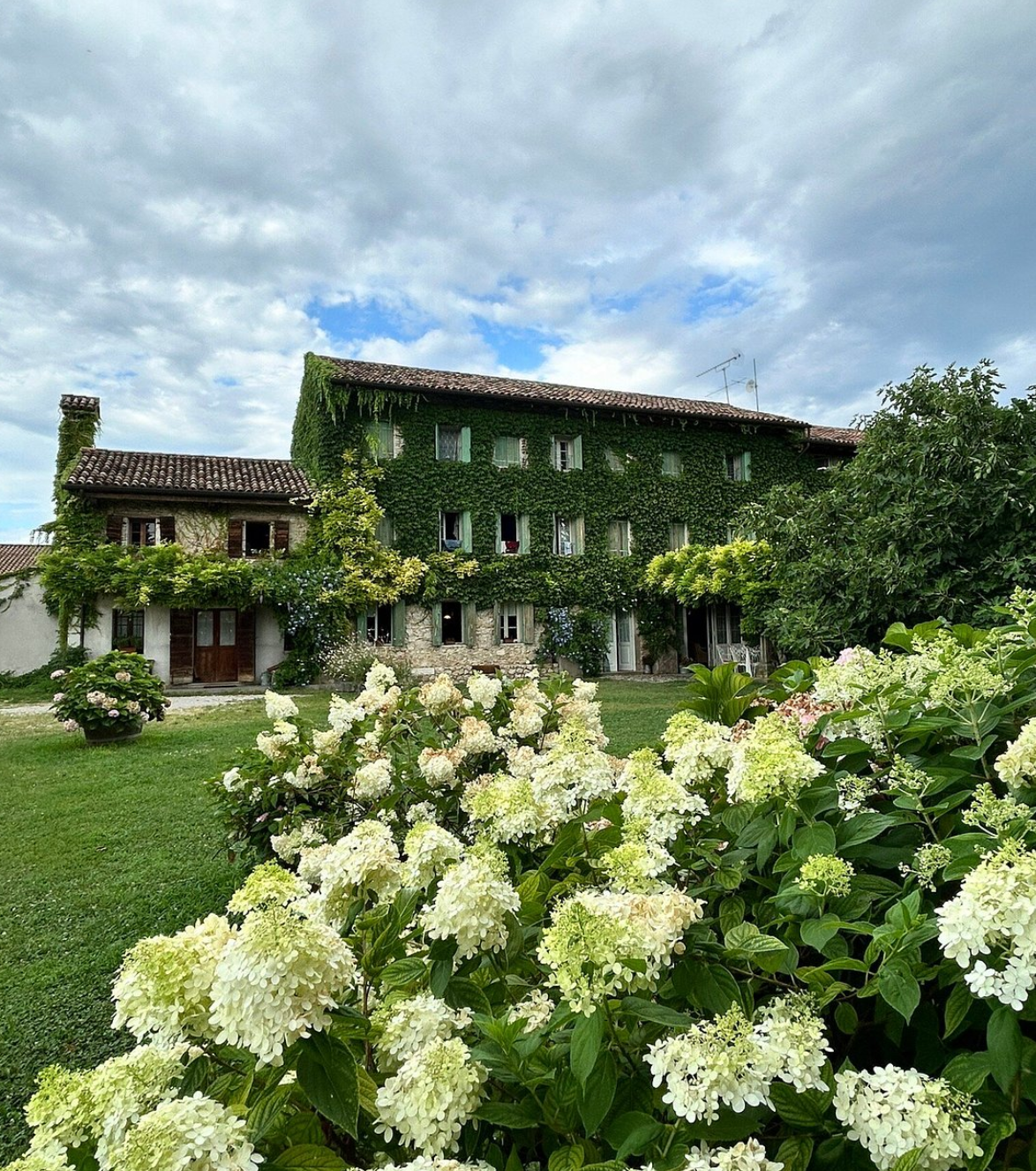 Maso di Villa – das alte Landgut in Conegliano, umrankt von Efeu und umgeben von blühenden Hortensien