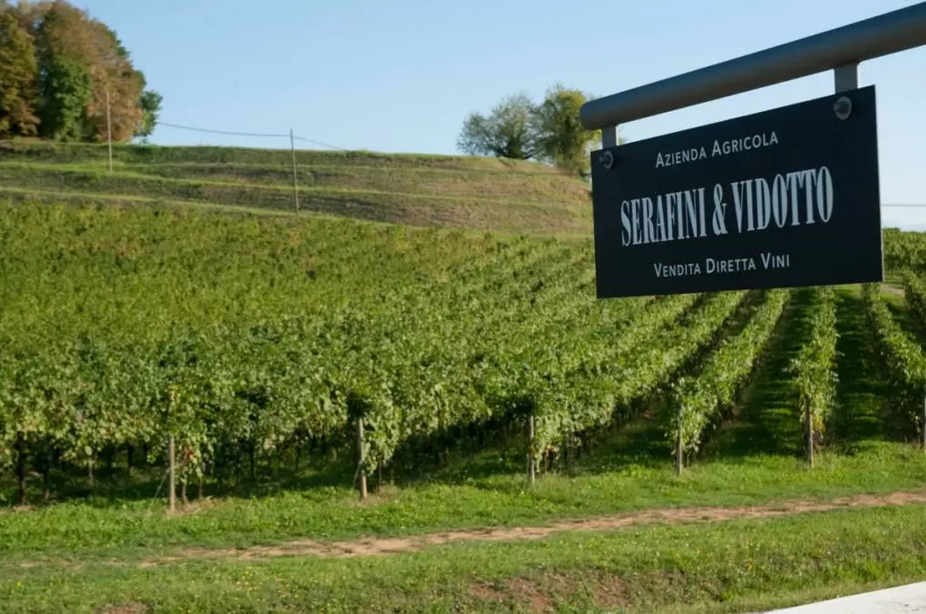 Serafini & Vidotto – Wein, Landschaft und Begegnung