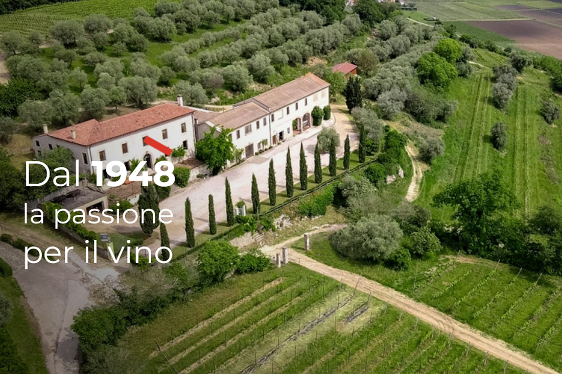 Il Filò delle Vigne – Herkunft, Begegnung und die Ausnahme, die die Regel bestätigt